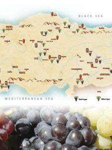 Wines of Turkey